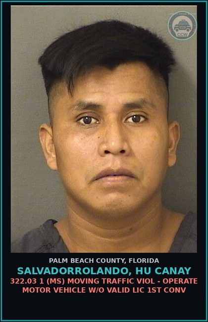 CCW arrest card for SALVADORROLANDO, HU CANAY in Palm Beach County: 322.03 1 (MS) MOVING TRAFFIC VIOL - OPERATE MOTOR VEHICLE W/O VALID LIC 1ST CONV