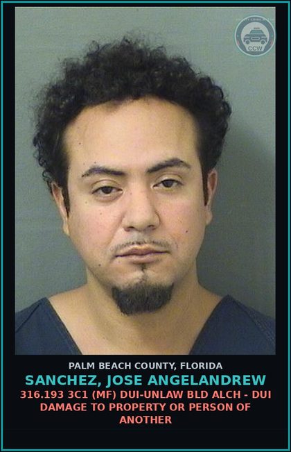 CCW arrest card for SANCHEZ, JOSE ANGELANDREW in Palm Beach County: 316.193 3C1 (MF) DUI-UNLAW BLD ALCH - DUI DAMAGE TO PROPERTY OR PERSON OF ANOTHER