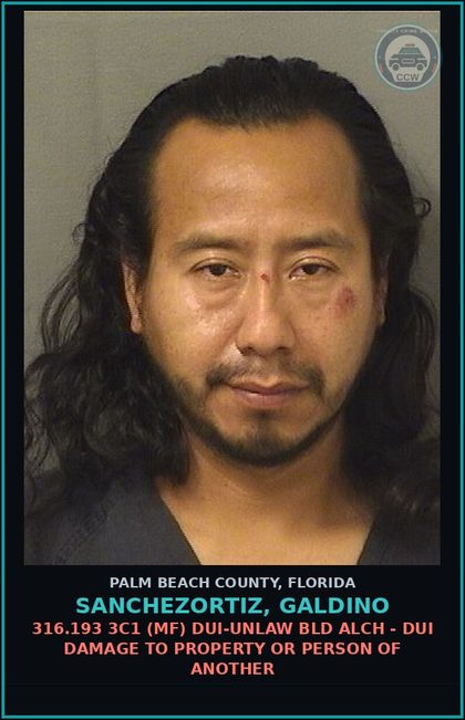 CCW arrest card for SANCHEZORTIZ, GALDINO in Palm Beach County: 316.193 3C1 (MF) DUI-UNLAW BLD ALCH - DUI DAMAGE TO PROPERTY OR PERSON OF ANOTHER