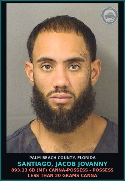 CCW arrest card for SANTIAGO, JACOB JOVANNY in Palm Beach County: 893.13 6B (MF) Canna-POSSESS - POSSESS LESS THAN 20 GRAMS Canna