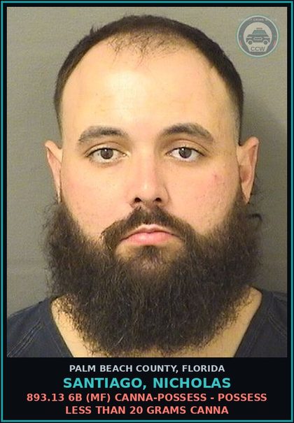 CCW arrest card for SANTIAGO, NICHOLAS in Palm Beach County: 893.13 6A (FT) DRUGS-POSSESS - POSSESS contr substance W/O PRESCRIPTION