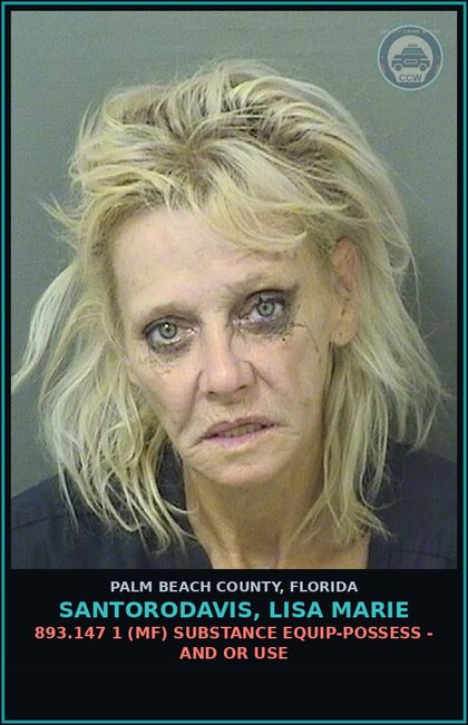 CCW arrest card for SANTORODAVIS, LISA MARIE in Palm Beach County: 893.13 6A (FT) DRUGS-POSSESS - POSSESS contr substance W/O PRESCRIPTION