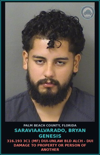 CCW arrest card for SARAVIAALVARADO, BRYAN GENESIS in Palm Beach County: 316.193 3C1 (MF) DUI-UNLAW BLD ALCH - DUI DAMAGE TO PROPERTY OR PERSON OF ANOTHER