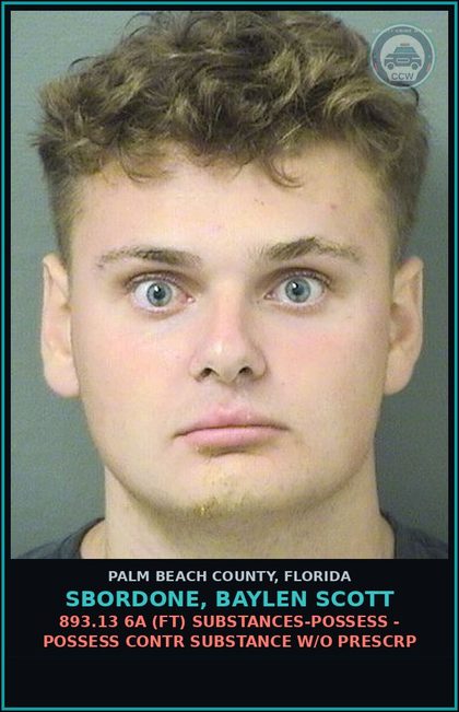CCW arrest card for SBORDONE, BAYLEN SCOTT in Palm Beach County: 893.13 6A (FT) DRUGS-POSSESS - POSSESS contr substance W/O PRESCRIPTION