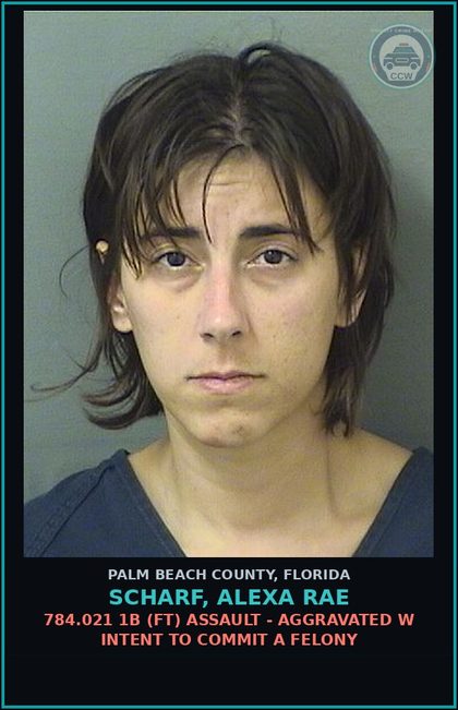 CCW arrest card for SCHARF, ALEXA RAE in Palm Beach County: 316.1935 1 (FT) FLEE/ELUDE POLICE - FAIL TO OBEY LEO ORDER TO STOP