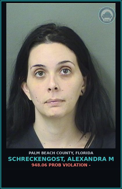 CCW arrest card for SCHRECKENGOST, ALEXANDRA M in Palm Beach County: 948.06 PROB VIOLATION -