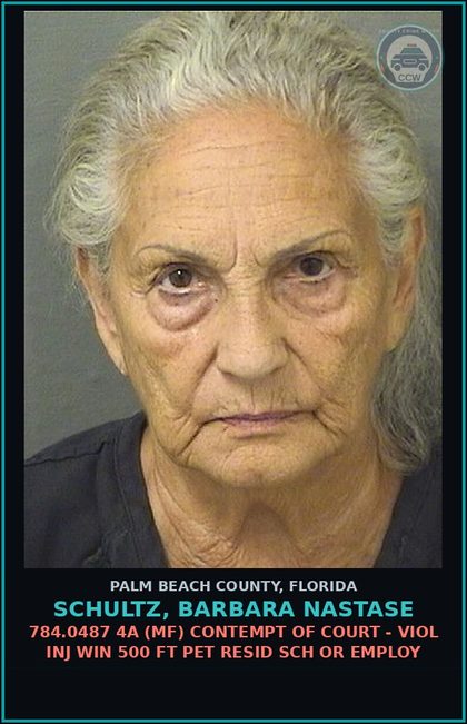 CCW arrest card for SCHULTZ, BARBARA NASTASE in Palm Beach County: 784.0487 4A (MF) CONTEMPT OF COURT - VIOL INJ WIN 500 FT PET RESID SCH OR EMPLOY