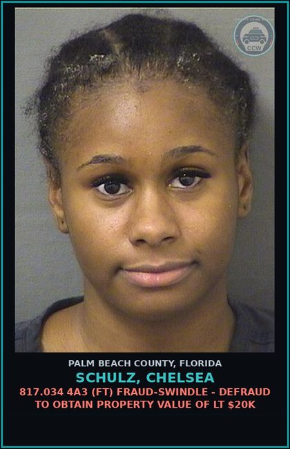 CCW arrest card for SCHULZ, CHELSEA in Palm Beach County: 901.15 4 OUT-OF-COUNTY WARRANT -