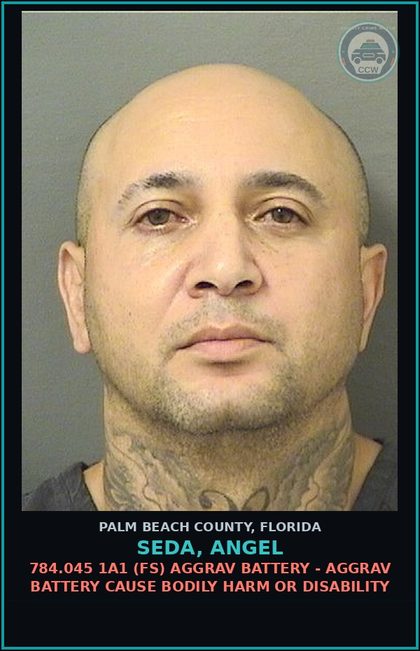 CCW arrest card for SEDA, ANGEL in Palm Beach County: 784.045 1A1 (FS) AGGRAV BATTERY - AGGRAV BATTERY CAUSE BODILY HARM OR DISABILITY
