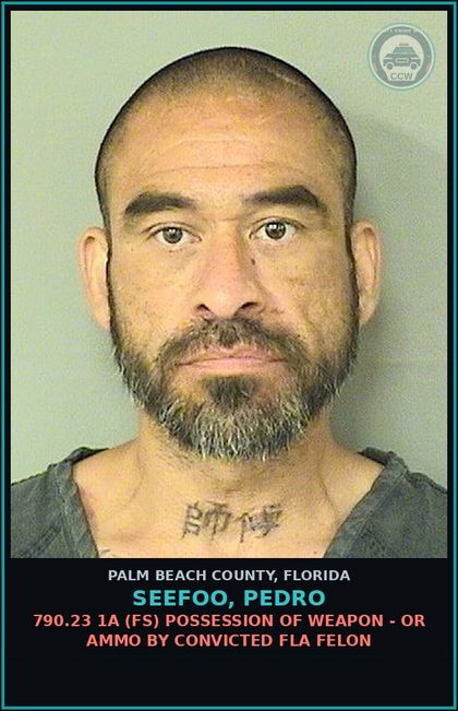 CCW arrest card for SEEFOO, PEDRO in Palm Beach County: 790.23 1A (FS) POSSESSION OF WEAPON - OR AMMO BY CONVICTED FLA FELON