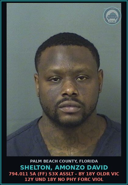 CCW arrest card for SHELTON, AMONZO DAVID in Palm Beach County: 794.011 5A (FF) s3x ASSLT - BY 18Y OLDR VIC 12Y UND 18Y NO PHY FORC VIOL