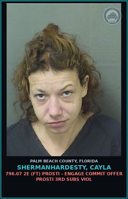 CCW arrest card for SHERMANHARDESTY, CAYLA in Palm Beach County: 796.07 2E (FT) Prosti - ENGAGE COMMIT OFFER Prosti 3RD SUBS VIOL