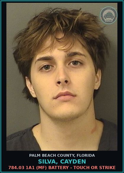 CCW arrest card for SILVA, CAYDEN in Palm Beach County: 784.03 1A1 (MF) BATTERY - TOUCH OR STRIKE