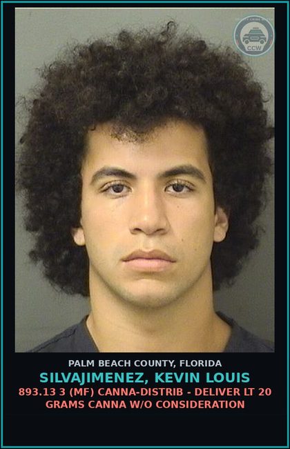 CCW arrest card for SILVAJIMENEZ, KEVIN LOUIS in Palm Beach County: 893.13 3 (MF) Canna-DISTRIB - DELIVER LT 20 GRAMS Canna W/O CONSIDERATION