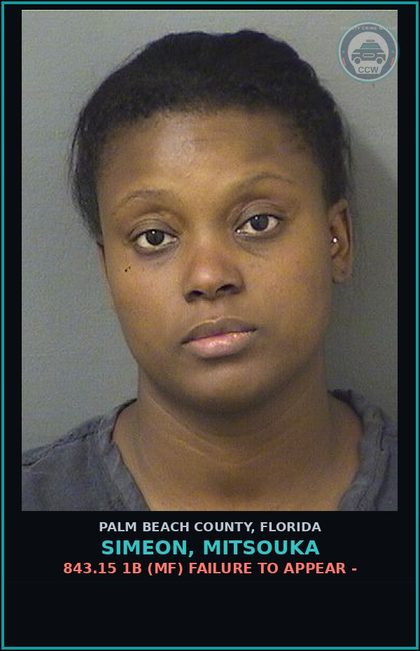 CCW arrest card for SIMEON, MITSOUKA in Palm Beach County: 843.15 1B (MF) FAILURE TO APPEAR -