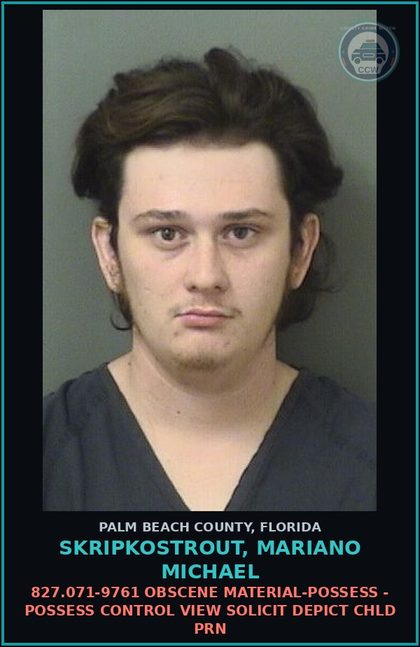 CCW arrest card for SKRIPKOSTROUT, MARIANO MICHAEL in Palm Beach County: 827.071-9761 OBSCENE MATERIAL-POSSESS - POSSESS CONTROL VIEW SOLICIT DEPICT chld PORN