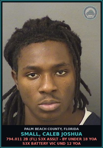 CCW arrest card for SMALL, CALEB JOSHUA in Palm Beach County: 794.011 2B (FL) s3x ASSLT - BY UNDER 18 YOA s3x BATTERY VICTIM UND 12 YOA