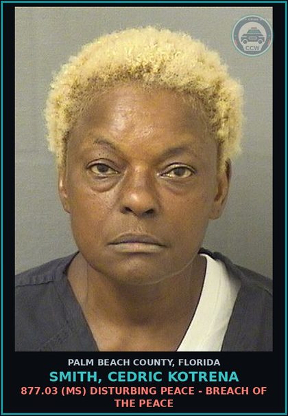 CCW arrest card for SMITH, CEDRIC KOTRENA in Palm Beach County: 877.03 (MS) DISTURBING PEACE - BREACH OF THE PEACE