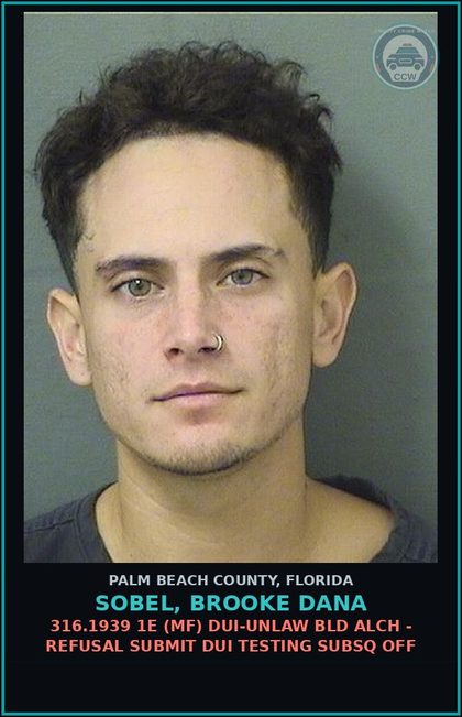CCW arrest card for SOBEL, BROOKE DANA in Palm Beach County: 316.1939 1E (MF) DUI-UNLAW BLD ALCH - REFUSAL SUBMIT DUI TESTING SUBSQ OFF