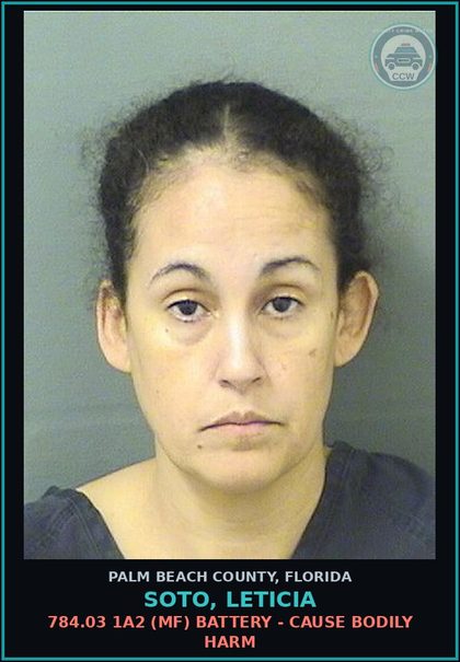CCW arrest card for SOTO, LETICIA in Palm Beach County: 784.03 1A2 (MF) BATTERY - CAUSE BODILY HARM