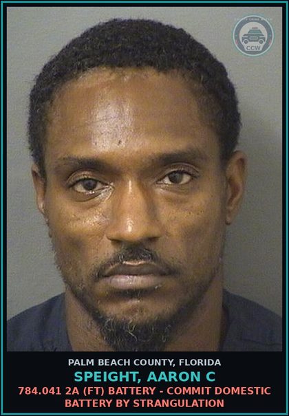 CCW arrest card for SPEIGHT, AARON C in Palm Beach County: 784.03 1A1 (MF) BATTERY - TOUCH OR STRIKE