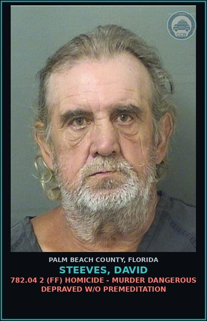 CCW arrest card for STEEVES, DAVID in Palm Beach County: 782.04 2 (FF) HOMICIDE - MURDER DANGEROUS DEPRAVED W/O PREMEDITATION