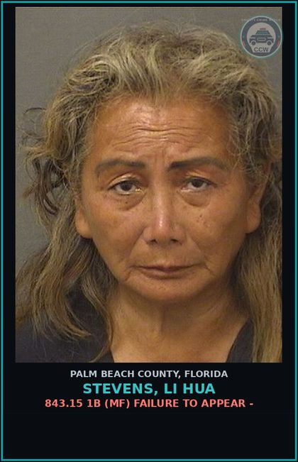CCW arrest card for STEVENS, LI HUA in Palm Beach County: 810.08 1 (MS) TRESPASSING - TRESPASSING STRUCTURE OR CONVEYANCE