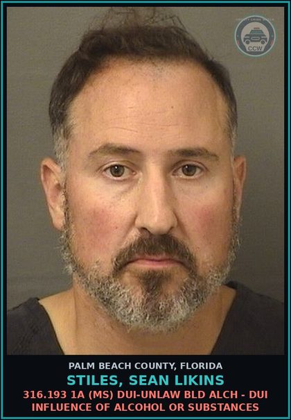 CCW arrest card for STILES, SEAN LIKINS in Palm Beach County: 316.193 1A (MS) DUI-UNLAW BLD ALCH - DUI INFLUENCE OF ALCOHOL OR DRUGS