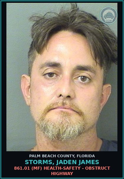 CCW arrest card for STORMS, JADEN JAMES in Palm Beach County: 784.05 1 (MS) CRIMES AGAINST PERSON - CULPABLE NEGLIGENCE EXPOSURE TO HARM