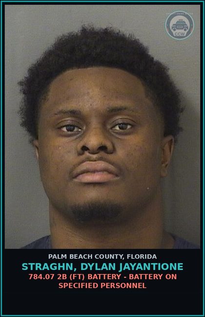 CCW arrest card for STRAGHN, DYLAN JAYANTIONE in Palm Beach County: 843.02 (MF) RESIST OFFICER - OBSTRUCT W/O VIOLENCE
