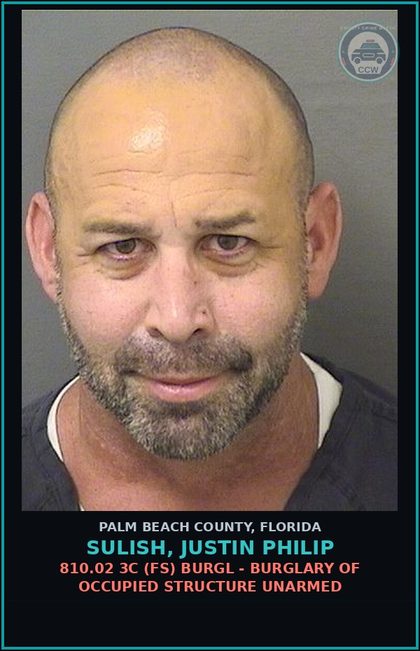 CCW arrest card for SULISH, JUSTIN PHILIP in Palm Beach County: 812.014 2B3 (FS) LARC - GRAND THEFT EMERGENCY MEDICAL EQUIPMENT