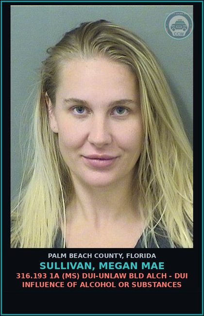 CCW arrest card for SULLIVAN, MEGAN MAE in Palm Beach County: 316.193 1A (MS) DUI-UNLAW BLD ALCH - DUI INFLUENCE OF ALCOHOL OR DRUGS