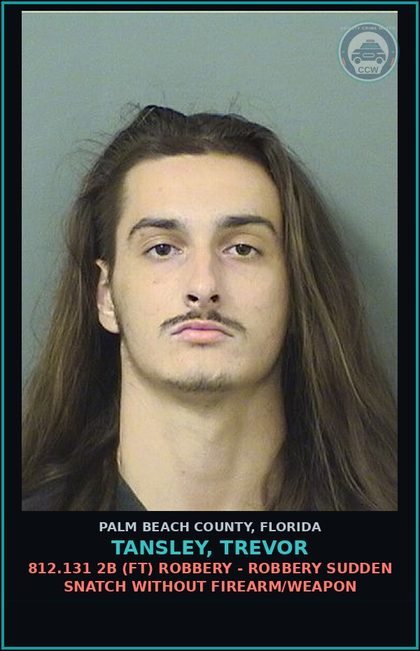 CCW arrest card for TANSLEY, TREVOR in Palm Beach County: 812.131 2B (FT) ROBBERY - ROBBERY SUDDEN SNATCH WITHOUT FIREARM/WEAPON