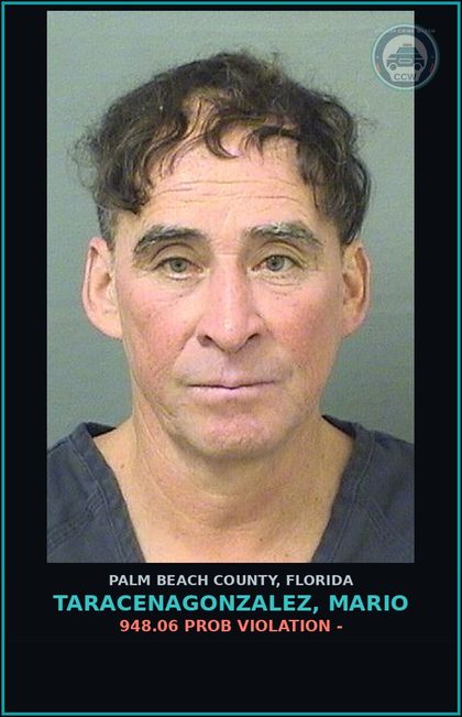 CCW arrest card for TARACENAGONZALEZ, MARIO in Palm Beach County: 948.06 PROB VIOLATION -