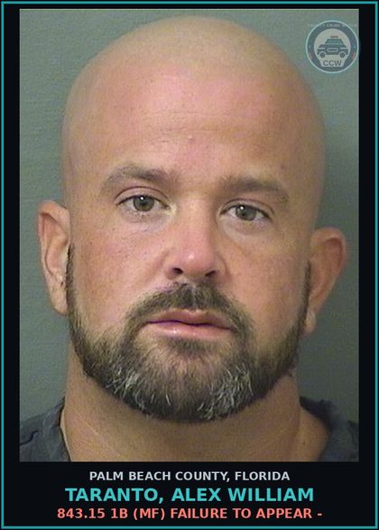 CCW arrest card for TARANTO, ALEX WILLIAM in Palm Beach County: 322.03 1 (MS) MOVING TRAFFIC VIOL - OPERATE MOTOR VEHICLE W/O VALID LIC 1ST CONV