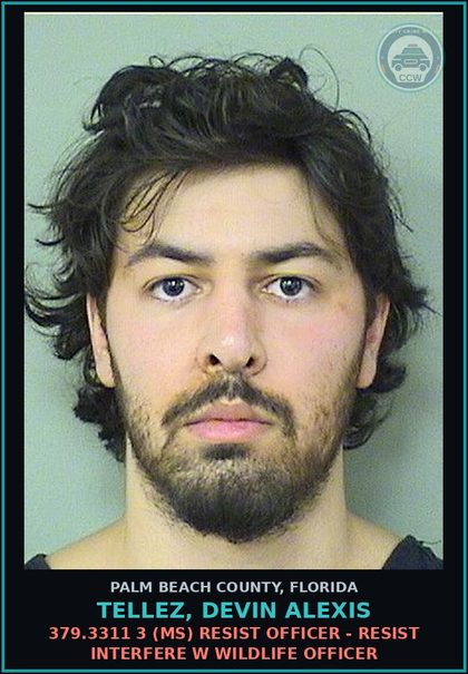 CCW arrest card for TELLEZ, DEVIN ALEXIS in Palm Beach County: 379.3311 3 (MS) RESIST OFFICER - RESIST INTERFERE W WILDLIFE OFFICER