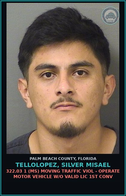 CCW arrest card for TELLOLOPEZ, SILVER MISAEL in Palm Beach County: 322.03 1 (MS) MOVING TRAFFIC VIOL - OPERATE MOTOR VEHICLE W/O VALID LIC 1ST CONV