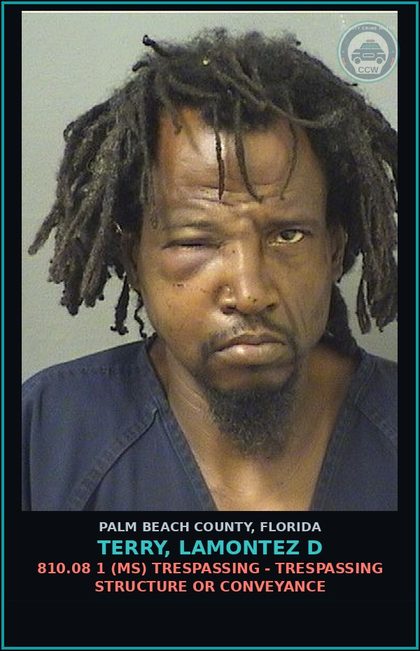 CCW arrest card for TERRY, LAMONTEZ D in Palm Beach County: 810.08 1 (MS) TRESPASSING - TRESPASSING STRUCTURE OR CONVEYANCE