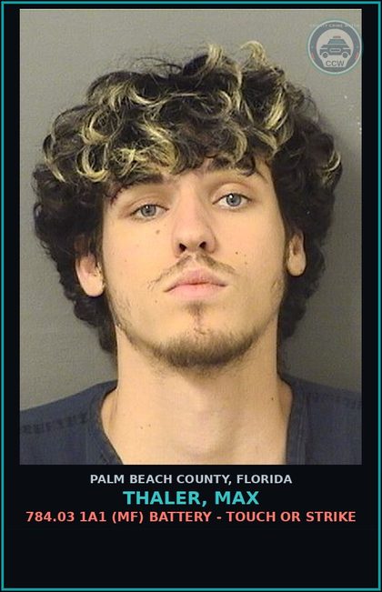 CCW arrest card for THALER, MAX in Palm Beach County: 784.03 1A1 (MF) BATTERY - TOUCH OR STRIKE