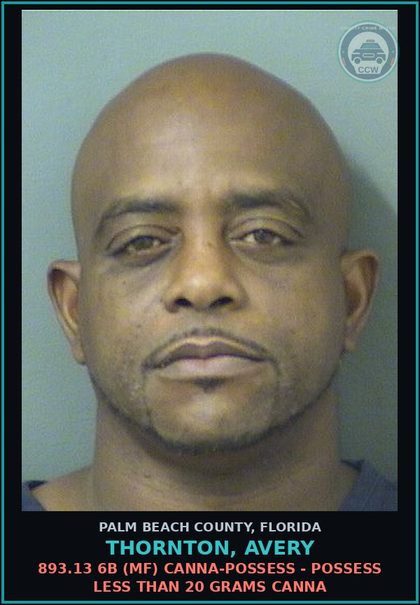 CCW arrest card for THORNTON, AVERY in Palm Beach County: 893.13 6B (MF) Canna-POSSESS - POSSESS LESS THAN 20 GRAMS Canna