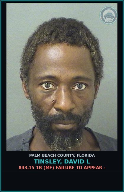 CCW arrest card for TINSLEY, DAVID L in Palm Beach County: 843.15 1B (MF) FAILURE TO APPEAR -