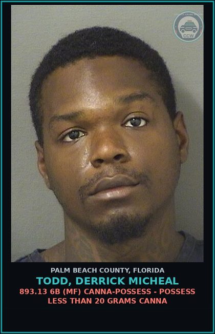 CCW arrest card for TODD, DERRICK MICHEAL in Palm Beach County: 893.13 6B (MF) Canna-POSSESS - POSSESS LESS THAN 20 GRAMS Canna