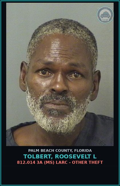 CCW arrest card for TOLBERT, ROOSEVELT L in Palm Beach County: 812.014 3A (MS) LARC - OTHER THEFT