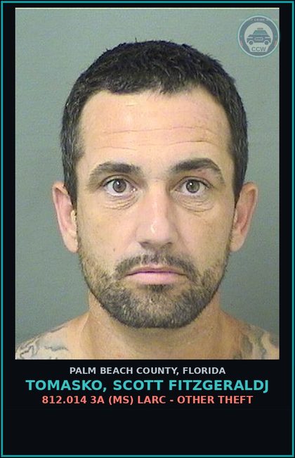 CCW arrest card for TOMASKO, SCOTT FITZGERALDJ in Palm Beach County: 812.014 3A (MS) LARC - OTHER THEFT