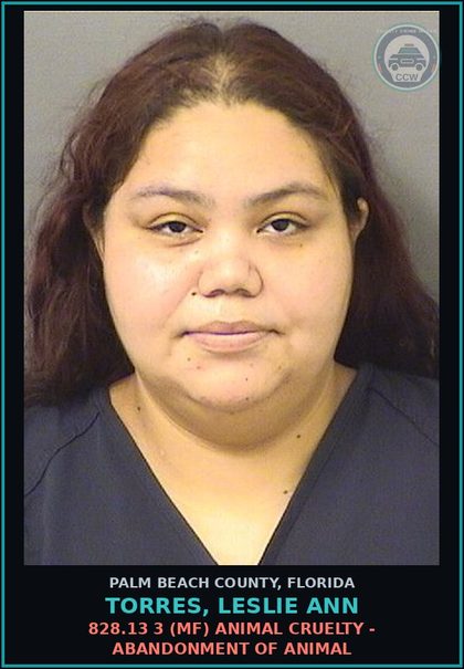 CCW arrest card for TORRES, LESLIE ANN in Palm Beach County: 828.12 2 (FT) ANIMAL CRUELTY - AGGRAVATED ANIMAL CRUELTY EXCESSIVE PAIN/DEATH
