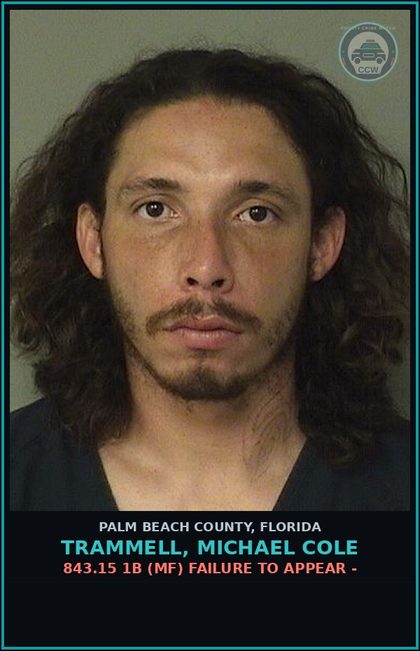 CCW arrest card for TRAMMELL, MICHAEL COLE in Palm Beach County: 843.15 1B (MF) FAILURE TO APPEAR -
