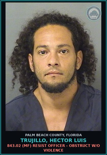 CCW arrest card for TRUJILLO, HECTOR LUIS in Palm Beach County: 893.13 6A (FT) DRUGS-POSSESS - POSSESS contr substance W/O PRESCRIPTION