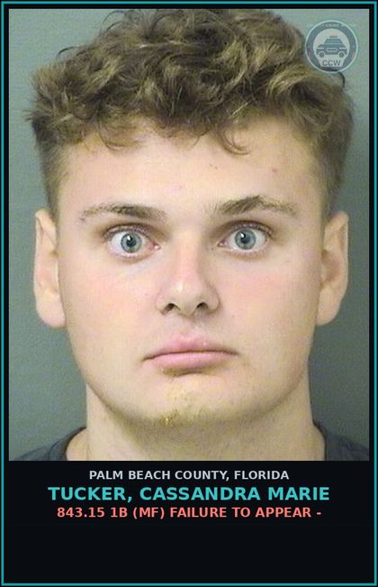 CCW arrest card for TUCKER, CASSANDRA MARIE in Palm Beach County: 843.15 1A (FT) FAILURE TO APPEAR -