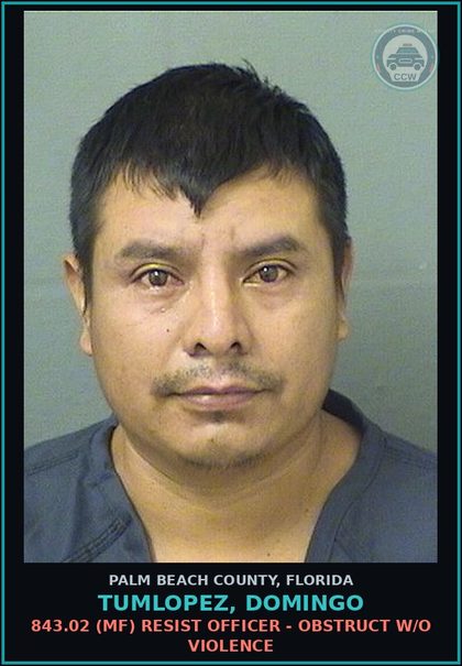 CCW arrest card for TUMLOPEZ, DOMINGO in Palm Beach County: 316.193 4 (MS) DUI-UNLAW BLD ALCH - 0.15 OR HIGHER OR W PERSON UNDER 18 IN VEHICLE