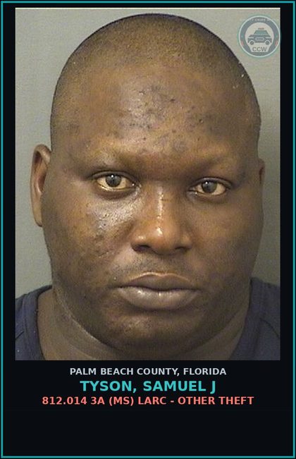 CCW arrest card for TYSON, SAMUEL J in Palm Beach County: 812.014 3A (MS) LARC - OTHER THEFT